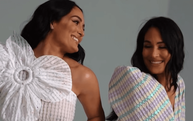 Bella Twins Reveal Behind-The-Scenes Footage Of Pregnancy Reveal Photo Shoot