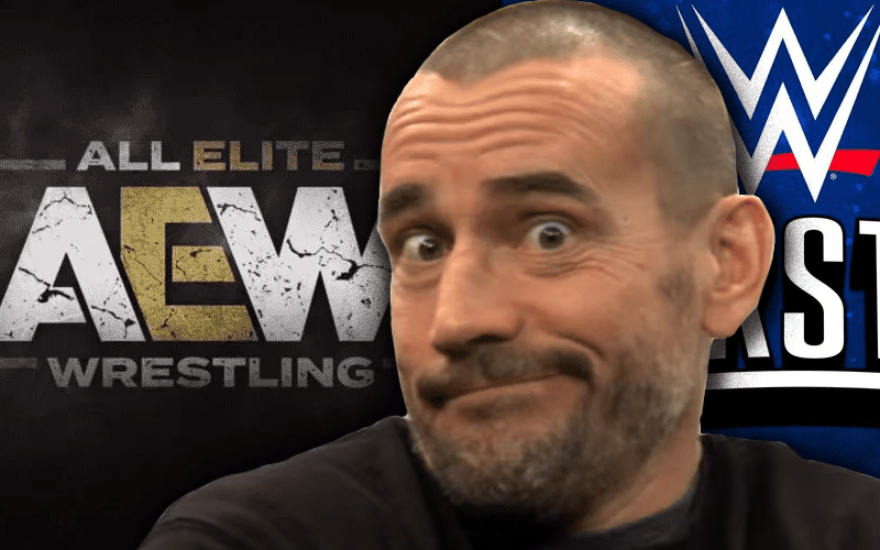 CM Punk Says He Could ‘Technically’ Wrestle For AEW & Work For WWE Backstage