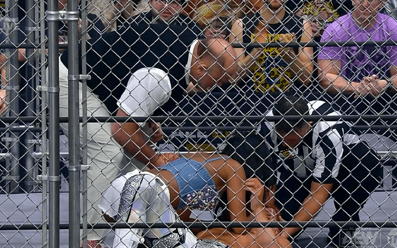Why TNT Approved Blood During AEW Dynamite Cage Match Main Event