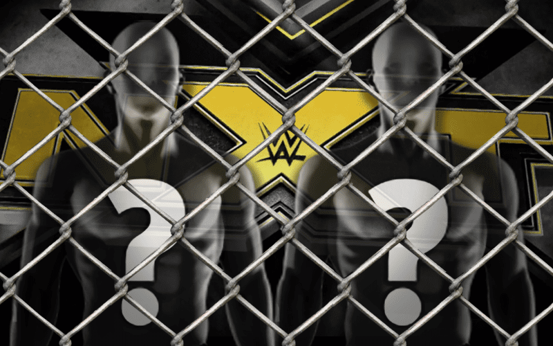 Second Cage Match Coming To WWE NXT Next Week