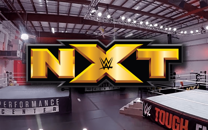 More Details About WWE NXT With No Live Matches