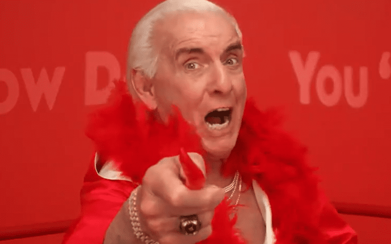 Ric Flair Featured In Star-Studded Super Bowl Commercial