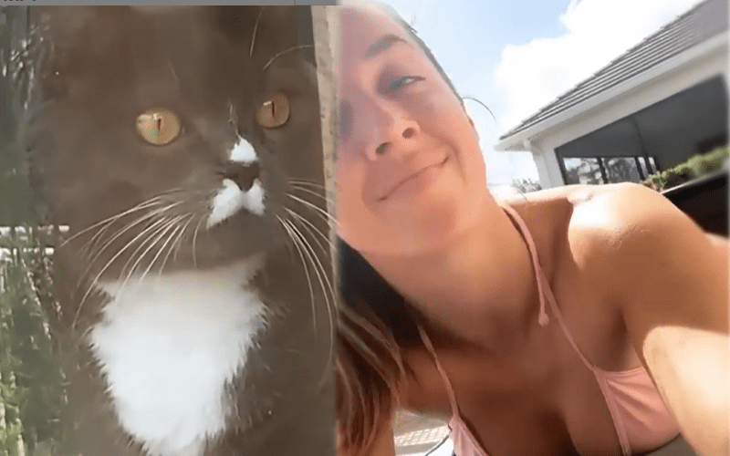 Chelsea Green Teases Her Cat In Poolside Bikini Video