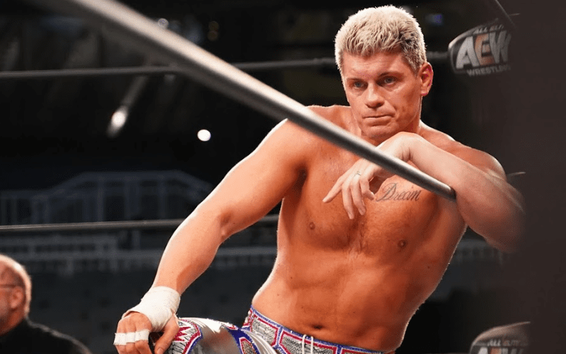 Cody Rhodes Reacts To Fans Saying AEW Signs Too Many Former WWE Superstars