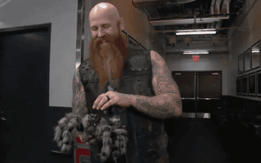 erick-rowan-biga-spider-382x239.png