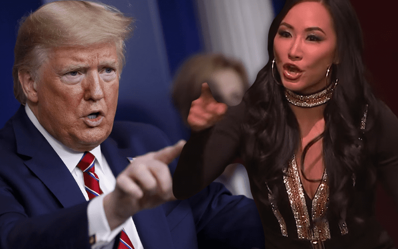 Gail Kim Reacts After Being Accused Of Bashing Donald Trump Supporters