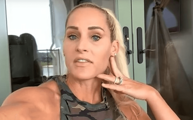 Michelle McCool Clarifies Intentions After Speaking Out About WWE Snubbing Her