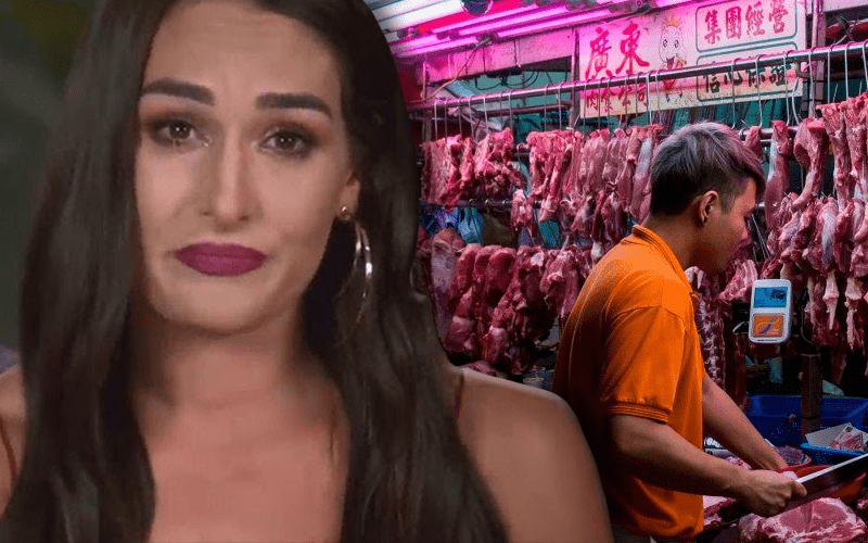 Nikki Bella HORRIFIED After Discovering Chinese ‘Wet Markets’ To Blame For Coronavirus