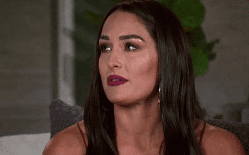Nikki Bella Shows Off Painful Burn After Kitchen Accident