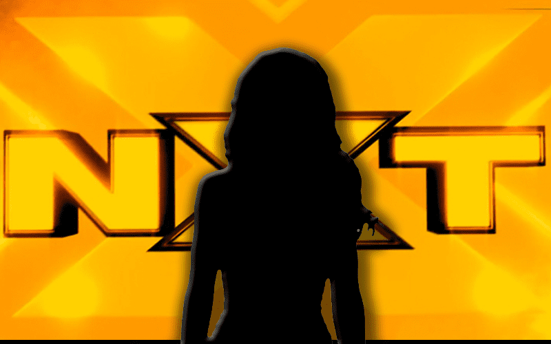 NXT Superstar Posts Bra & Panties Mirror Selfie While Giving Fans The Temperature