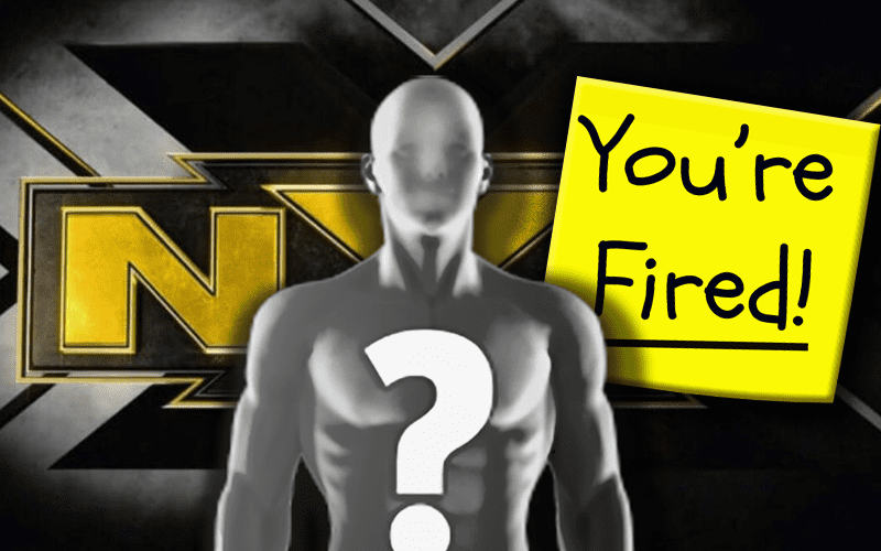 WWE Releases Female Star From NXT Contract