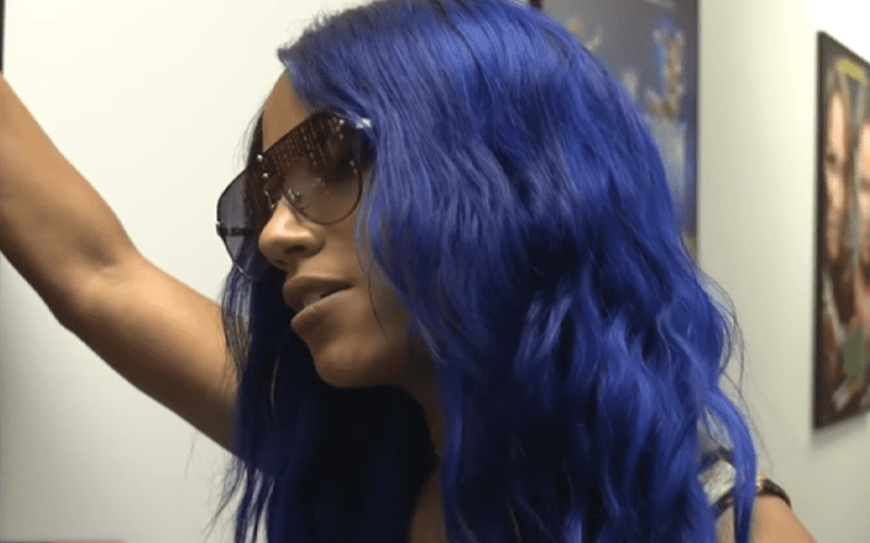 Sasha Banks Goes Off About How Much She Hates Paige After WWE SmackDown