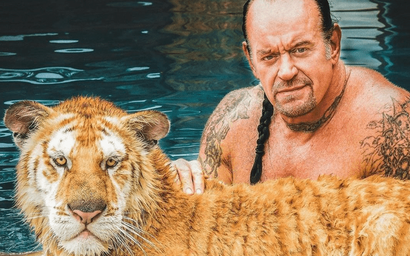 Watch The Undertaker & Michelle McCool’s New Tiger PSA