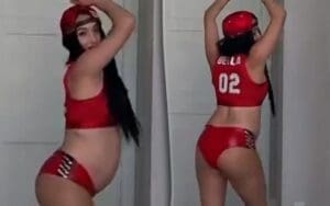 WATCH Nikki Bella Perform Bella Twins WWE Entrance While Pregnant