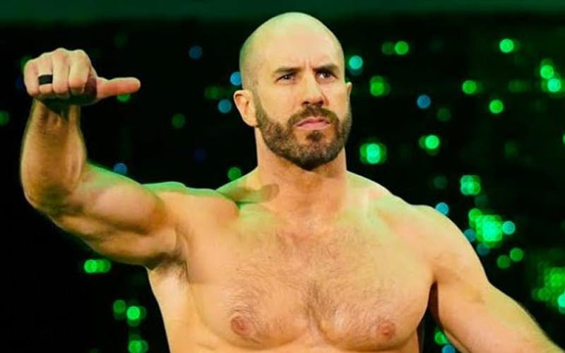 How Cesaro Saved WWE NXT Superstar From Being Fired