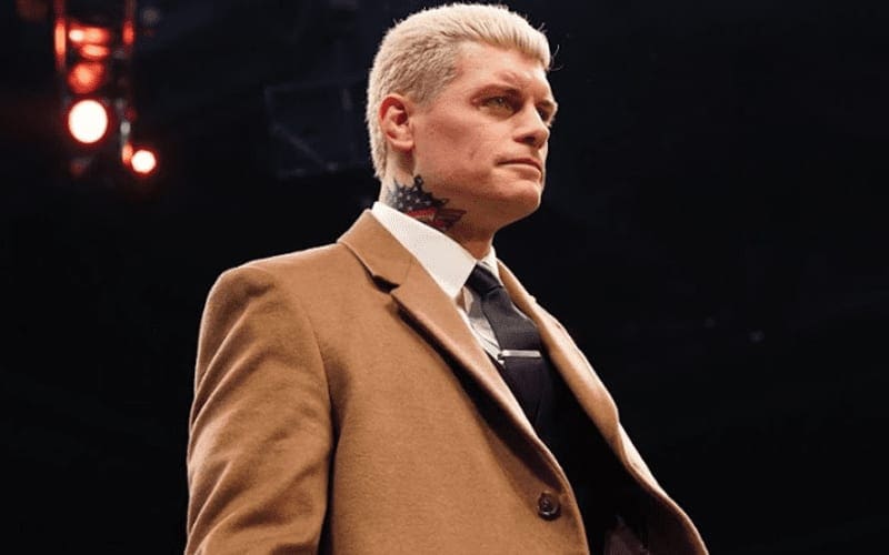 Cody Rhodes Says AEW Isn’t Interested In Signing Recently Released WWE Superstar