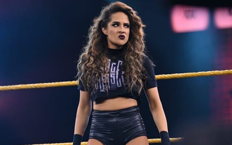 Dakota Kai Fires Back At Fan For Degrading WWE NXT Women’s Division