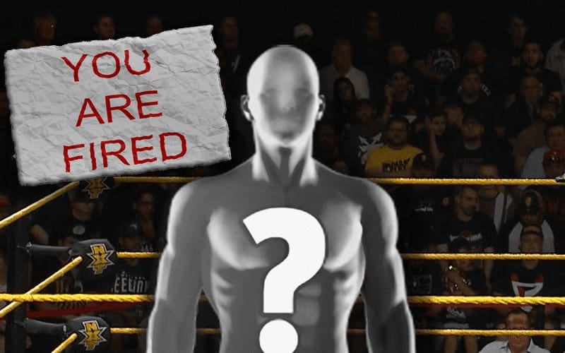 WWE Releases Promising Talent From Contract Before Their In-Ring Debut