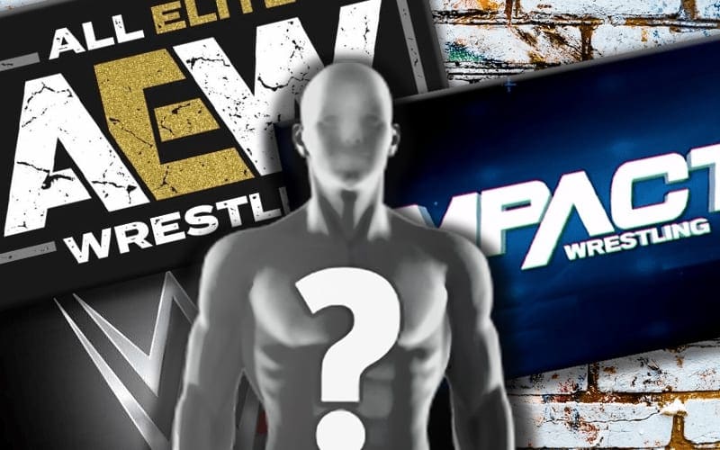 Recently Released WWE Superstar Already Has ‘Significant Interest’ From Other Companies