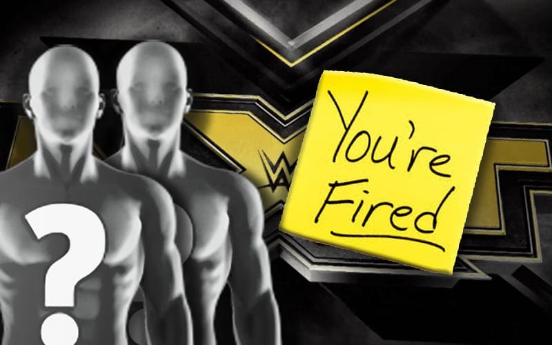 More WWE NXT Releases Made Official