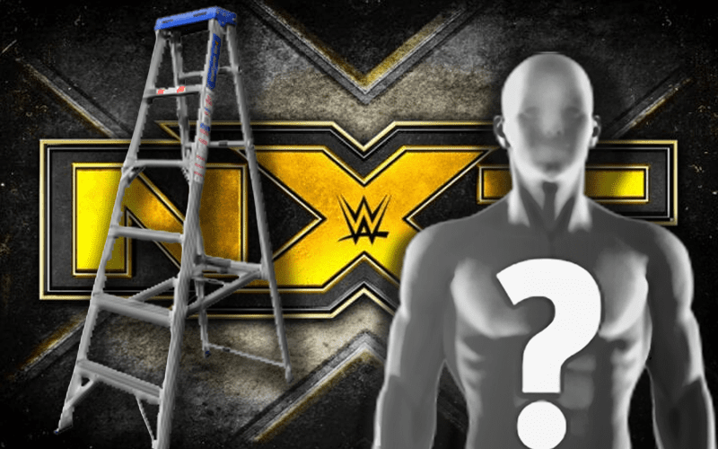 WWE NXT Superstar Hypes Winning Ladder Match Via Pinfall