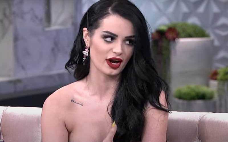 Paige Answers Critic Saying She Shouldn’t Have Given Struggling WWE Fans Money