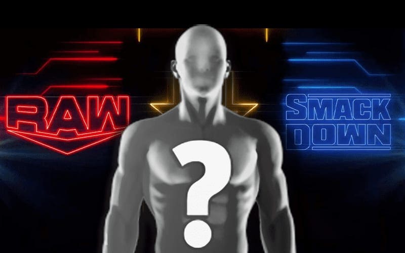 Major WWE TV Debut Anticipated in Coming Week for Prominent Newcomer