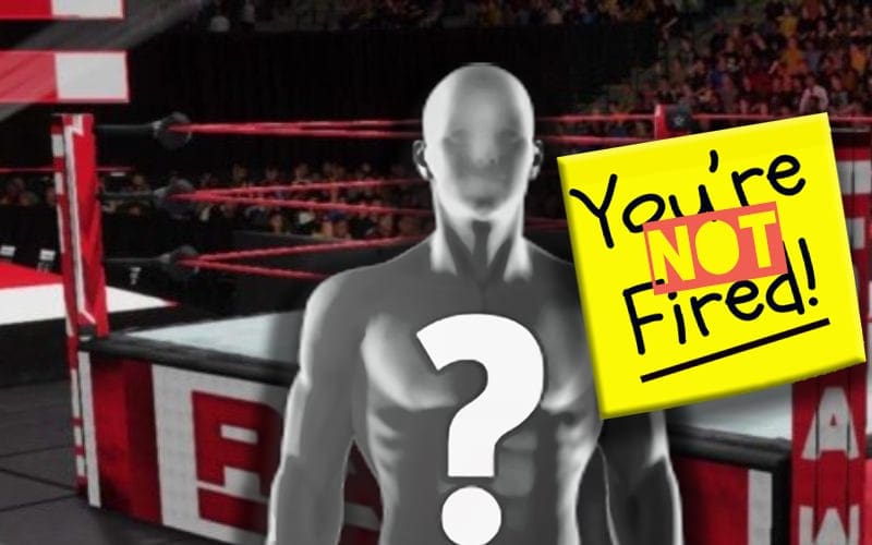 WWE Possibly Changed Their Minds After Releasing Superstar From Contract