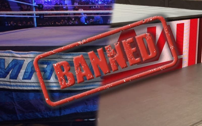 WWE Adds To Their Banned Moves List