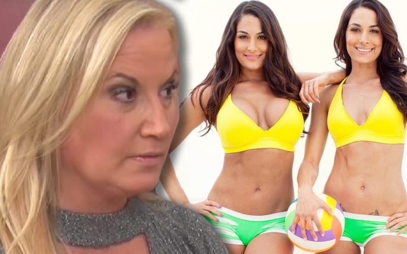 Sunny Apologized To Bella Twins For Calling Them Fat