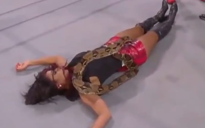 Brandi Rhodes Reacts To Jake Roberts Putting A Snake On Her During AEW Dynamite