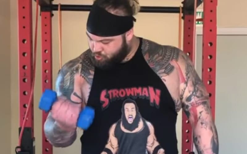WATCH ‘Muscle Man’ Bray Wyatt Training Hard In Bonus Firefly Fun House Episode