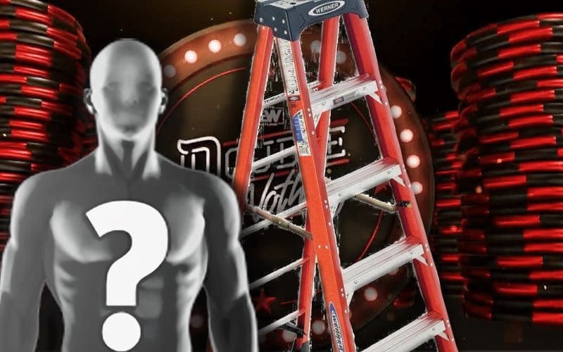 AEW Starts To Reveal Stars In Double Or Nothing Casino Ladder Match