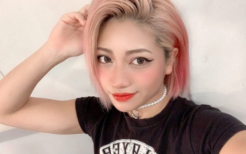 Hana Kimura Suicide Caused Suspension For ‘Terrace House’ — Show Might Not Be Back