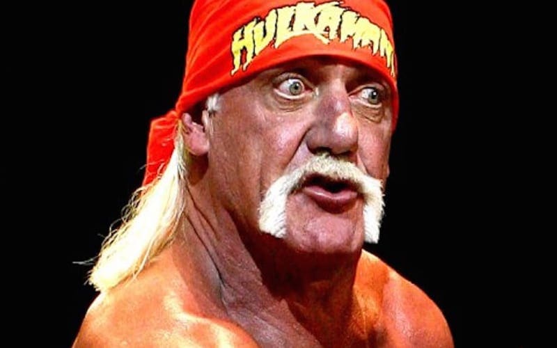 Hulk Hogan Biopic Starring Chris Hemsworth Is ‘Not A Done Deal’