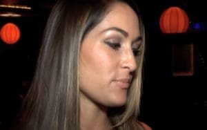 Nikki Bella Reveals She Was Raped Twice Prior To WWE