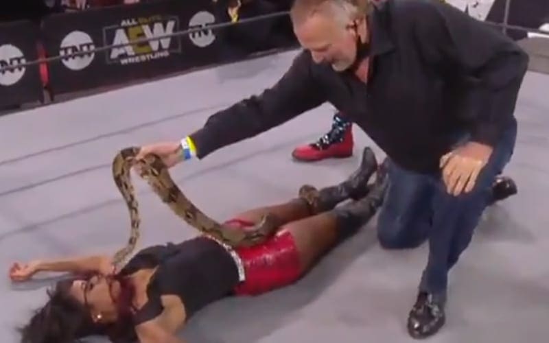 WATCH Jake Roberts Put Snake On Brandi Rhodes During AEW Dynamite