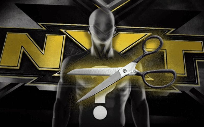 WWE Furloughed NXT Announcer