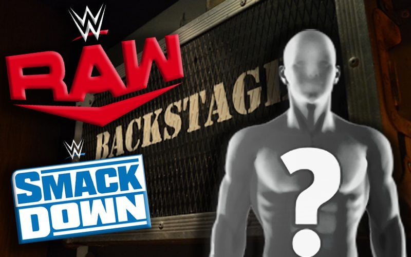 WWE Giving Returning Superstar Tryout At Backstage Position