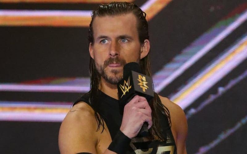 Adam Cole On If There’s A Larger Desire To Go To WWE Main Roster