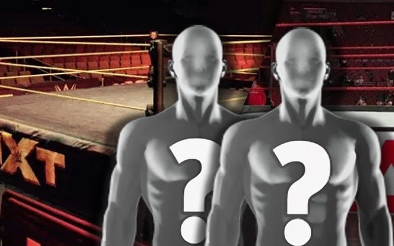New Unique Match Idea In WWE NXT Explained