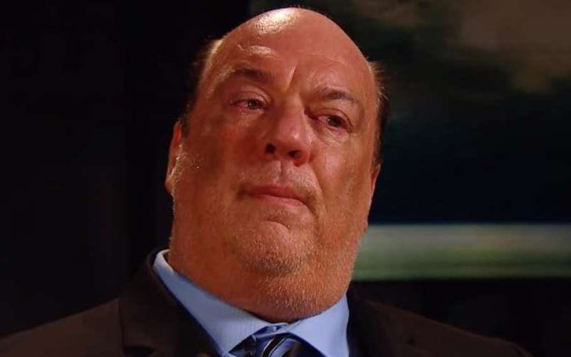 Paul Heyman Brought Up Big Concern About Pushing Superstars Prior To WWE Firing