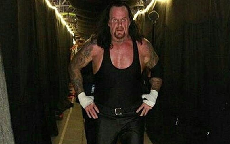 The Undertaker Reveals Time He Yelled At WWE Roster For Not Giving It Their All