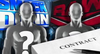 WWE Interested In Signing Popular Indie Star