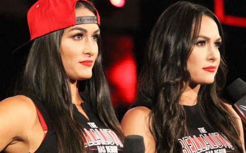 The Bella Twins Set The Record Straight About WWE Return Talks