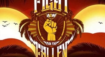 AEW Fight For The Fallen Results – July 15, 2020