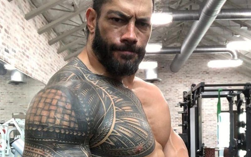 Roman Reigns Looking Jacked In New Workout Videos