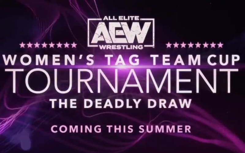 AEW Announces Women’s Tag Team Cup Tournament