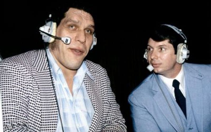 What Andre The Giant Didn’t Like About Working For Vince McMahon
