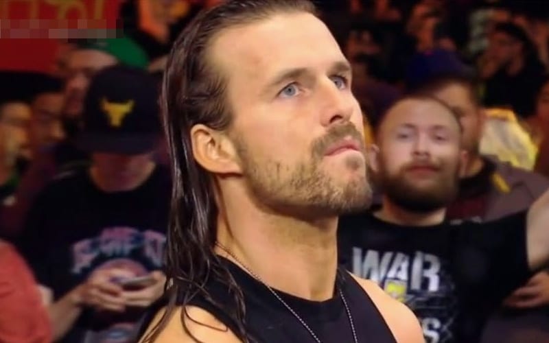 Adam Cole Says ‘It’s Disgusting’ That Pat McAfee Thinks He Belongs In WWE NXT